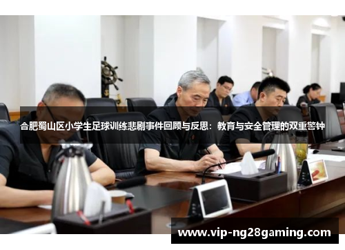 合肥蜀山区小学生足球训练悲剧事件回顾与反思：教育与安全管理的双重警钟