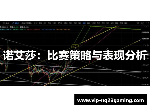 诺艾莎：比赛策略与表现分析