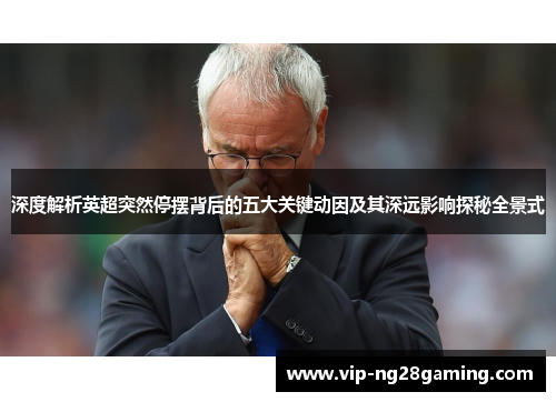 深度解析英超突然停摆背后的五大关键动因及其深远影响探秘全景式