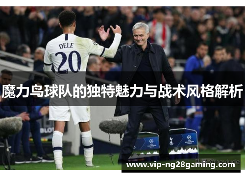 魔力鸟球队的独特魅力与战术风格解析