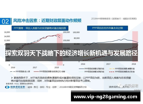 探索双羽天下战略下的经济增长新机遇与发展路径 探索双羽天下战略下的经济增长新机遇与发展路径