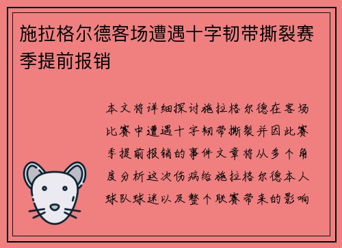 施拉格尔德客场遭遇十字韧带撕裂赛季提前报销